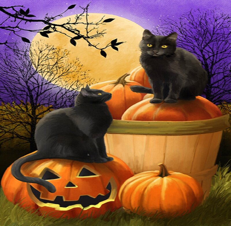Black Cats on Pumpkins — Purple