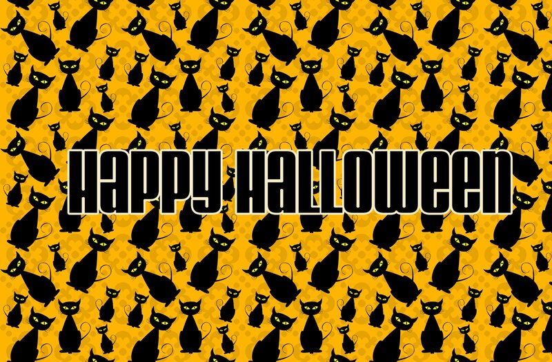 Black Cats on Yellow