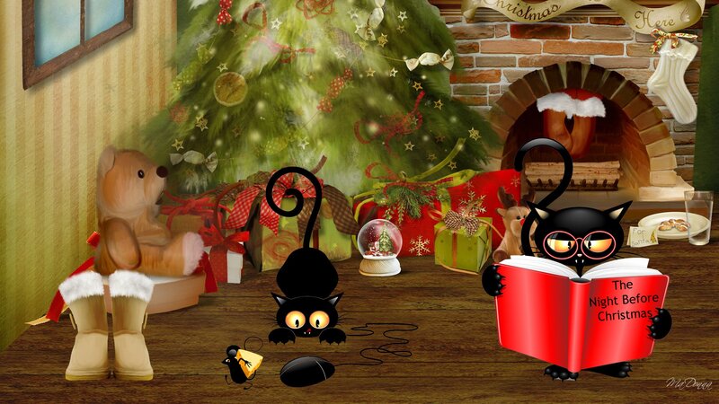 Black Cats Reading Book