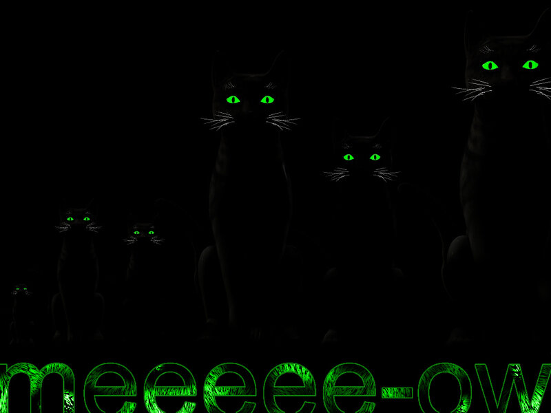 Black Cats with Glowing Eyes