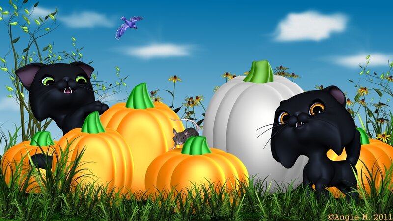 Black Cats with Pumpkins