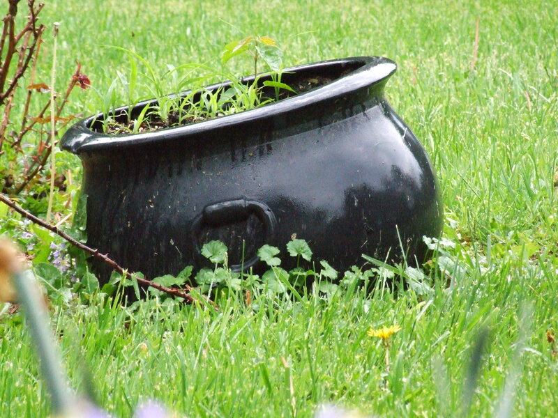 Black Cauldron in Grass