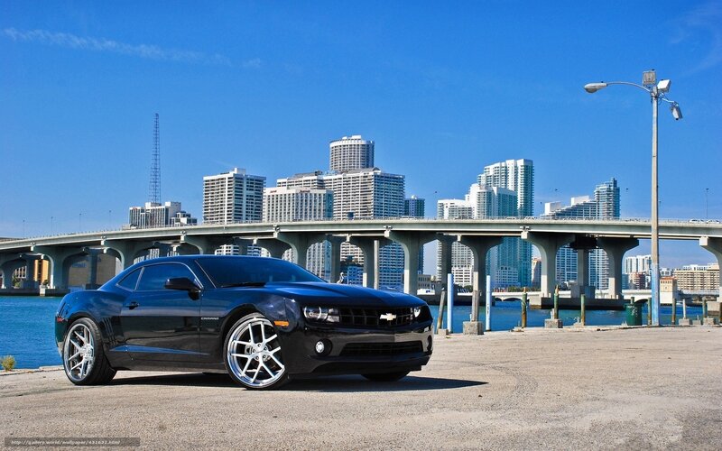 Black Chevrolet Camaro — Blue, Urban