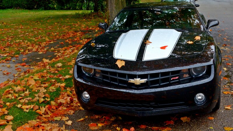 Black Chevrolet Camaro — Calm, Autumn