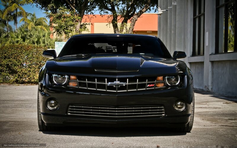Black Chevrolet Camaro — Dramatic, Afternoon, Photograph, Building, Trees