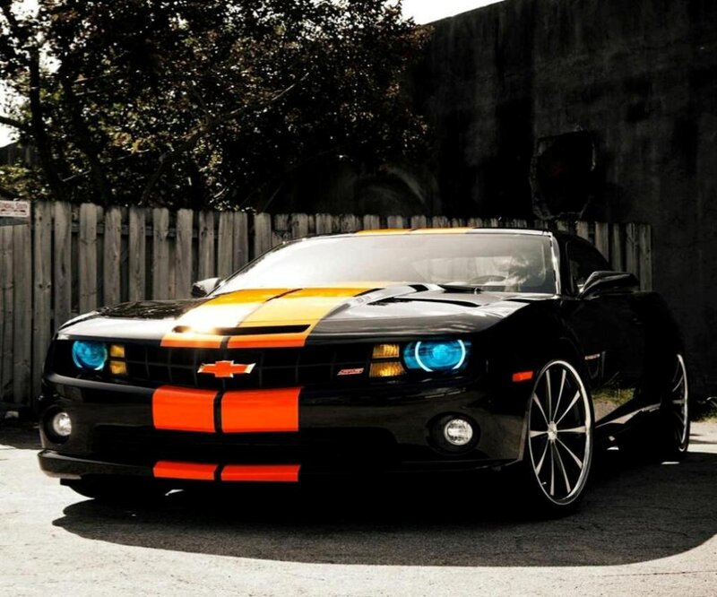 Black Chevrolet Camaro — Dramatic, Afternoon, Photograph, Car, Fence, Tree