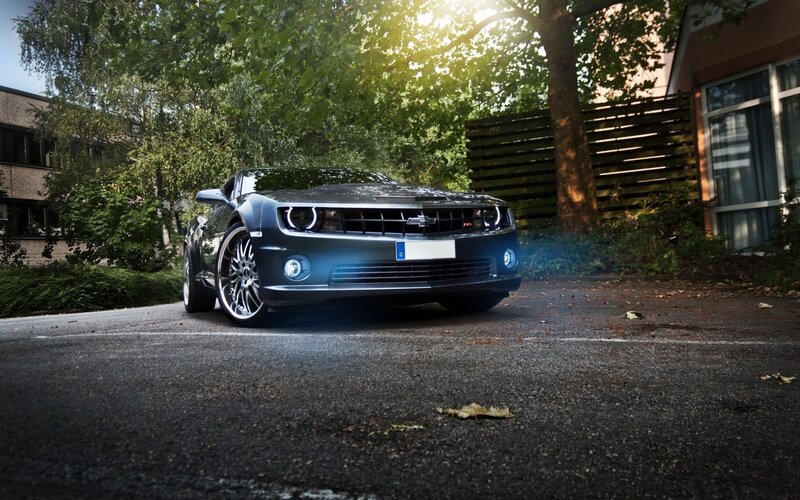 Black Chevrolet Camaro — Dramatic, Afternoon, Photograph, Trees