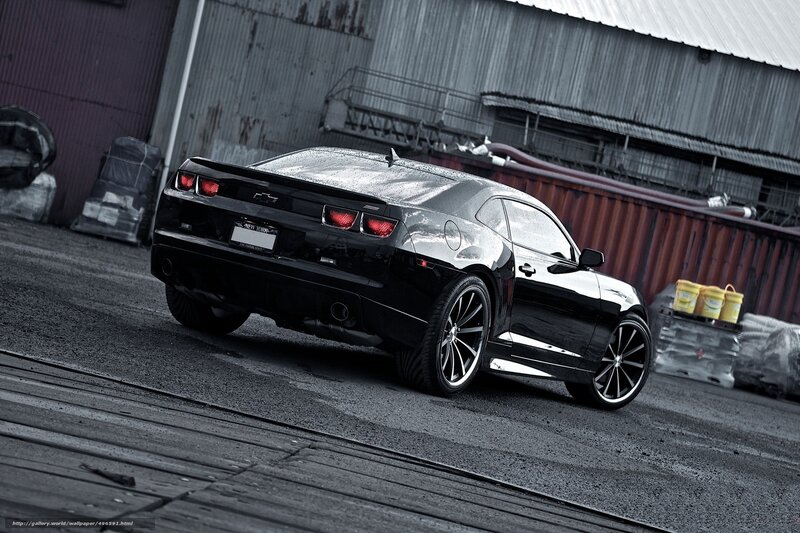 Black Chevrolet Camaro — Dramatic, Photograph, Car, Building, Pallet