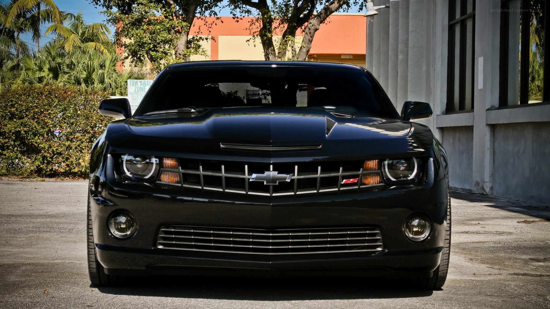 black chevrolet camaro ss