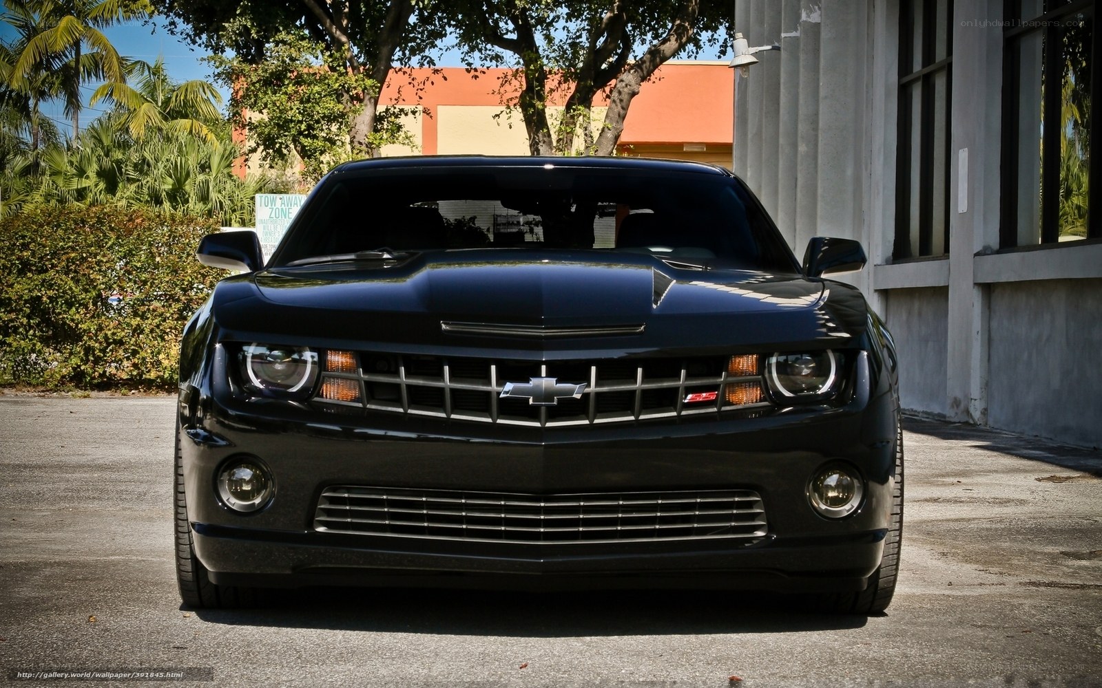 Black Chevrolet Camaro SS