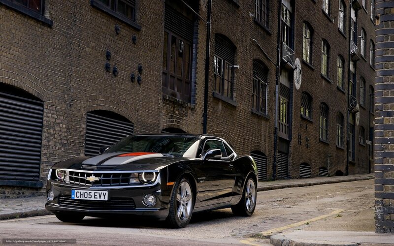 Black Chevrolet Camaro — Urban, Afternoon, Photograph