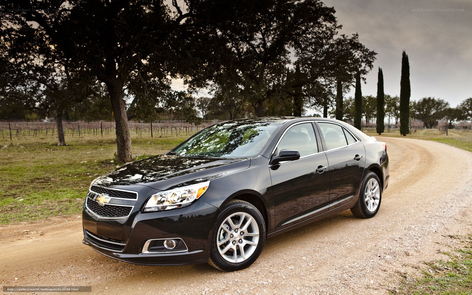 Black Chevrolet Malibu on a dirt road