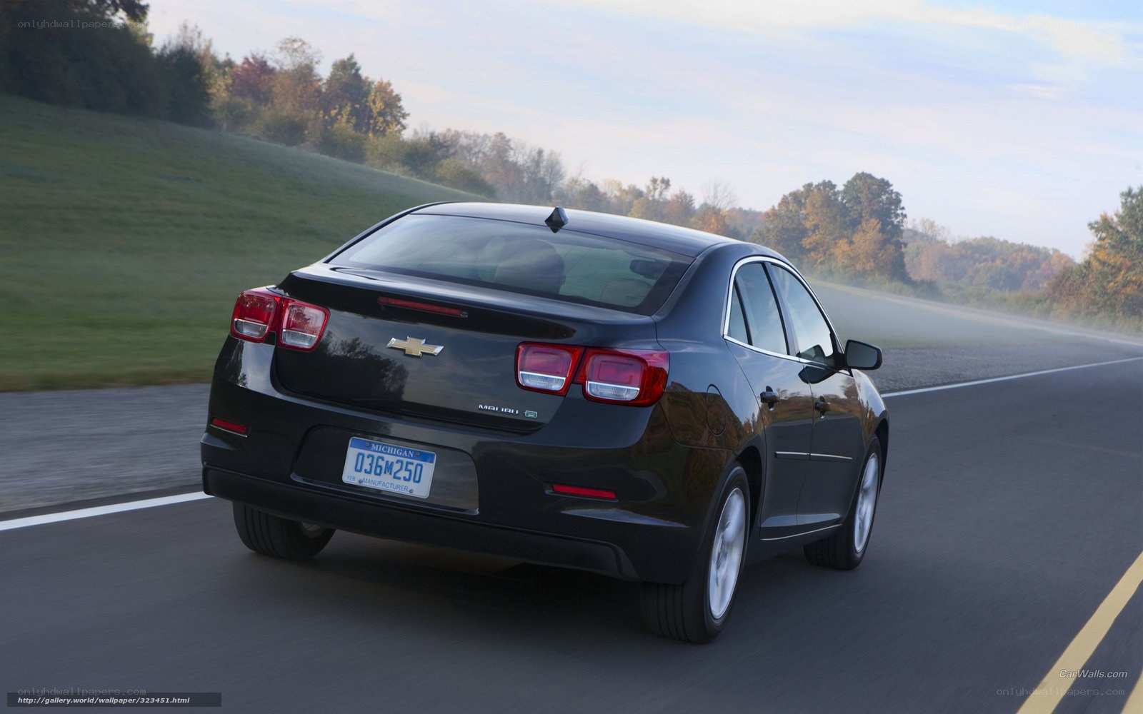 black chevrolet malibu on road