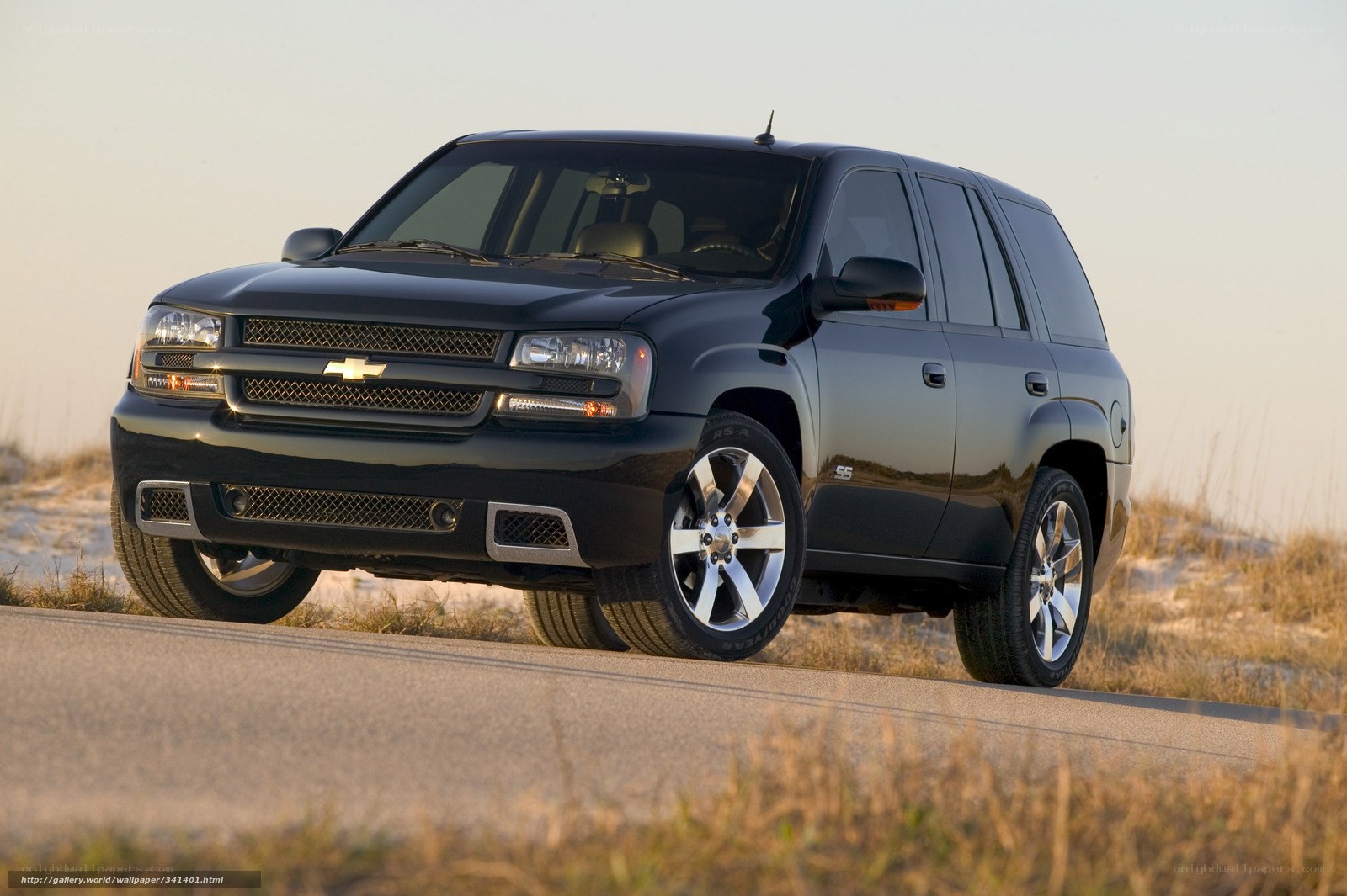 Black Chevrolet TrailBlazer on road