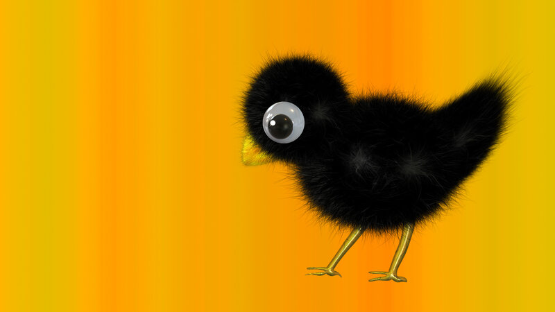 Black Chick with Big Eye