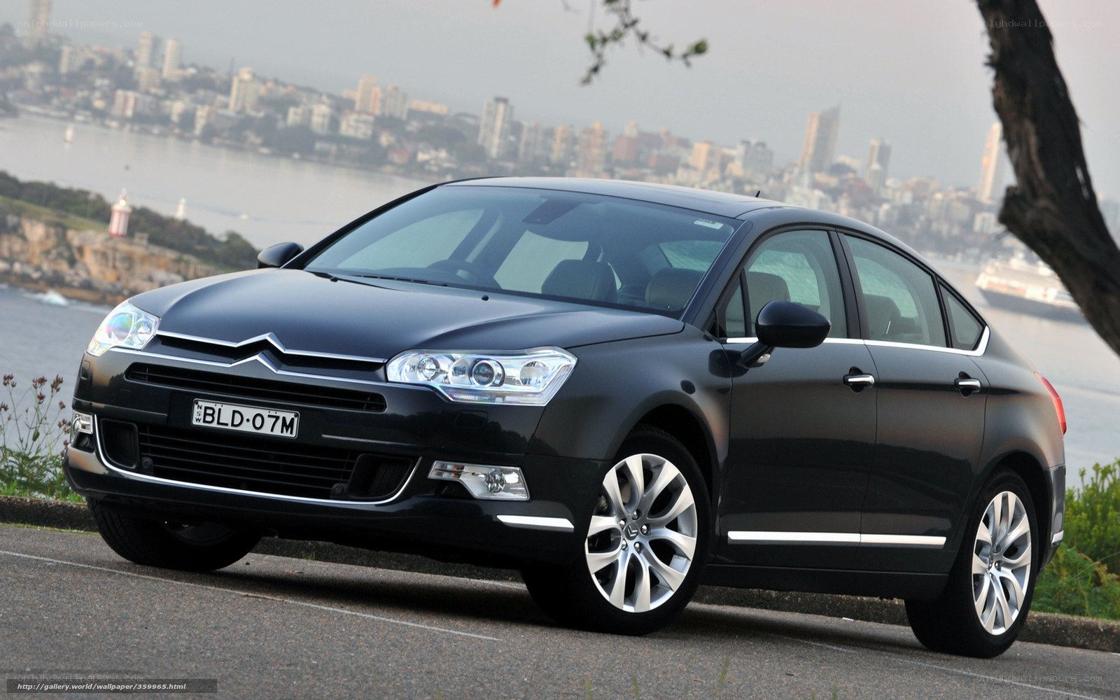Black Citroen C5 by the water