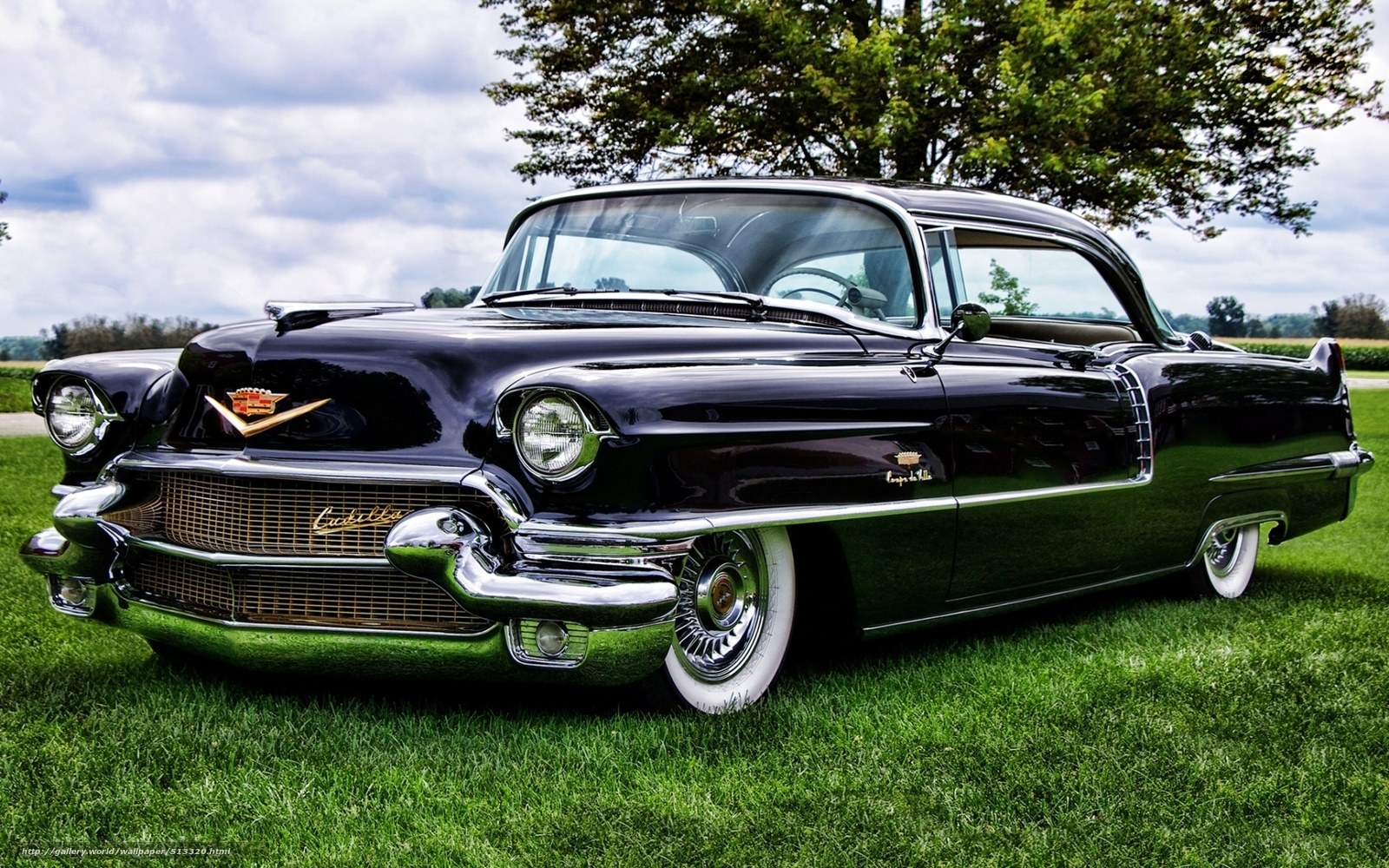 Black classic Cadillac on grass