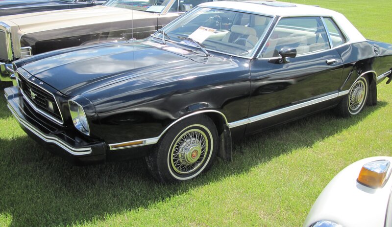 Black Classic Car — Calm, Afternoon, Photograph, Grass, Windshield