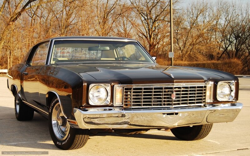 Black Classic Car — Calm, Autumn, Photograph, Trees