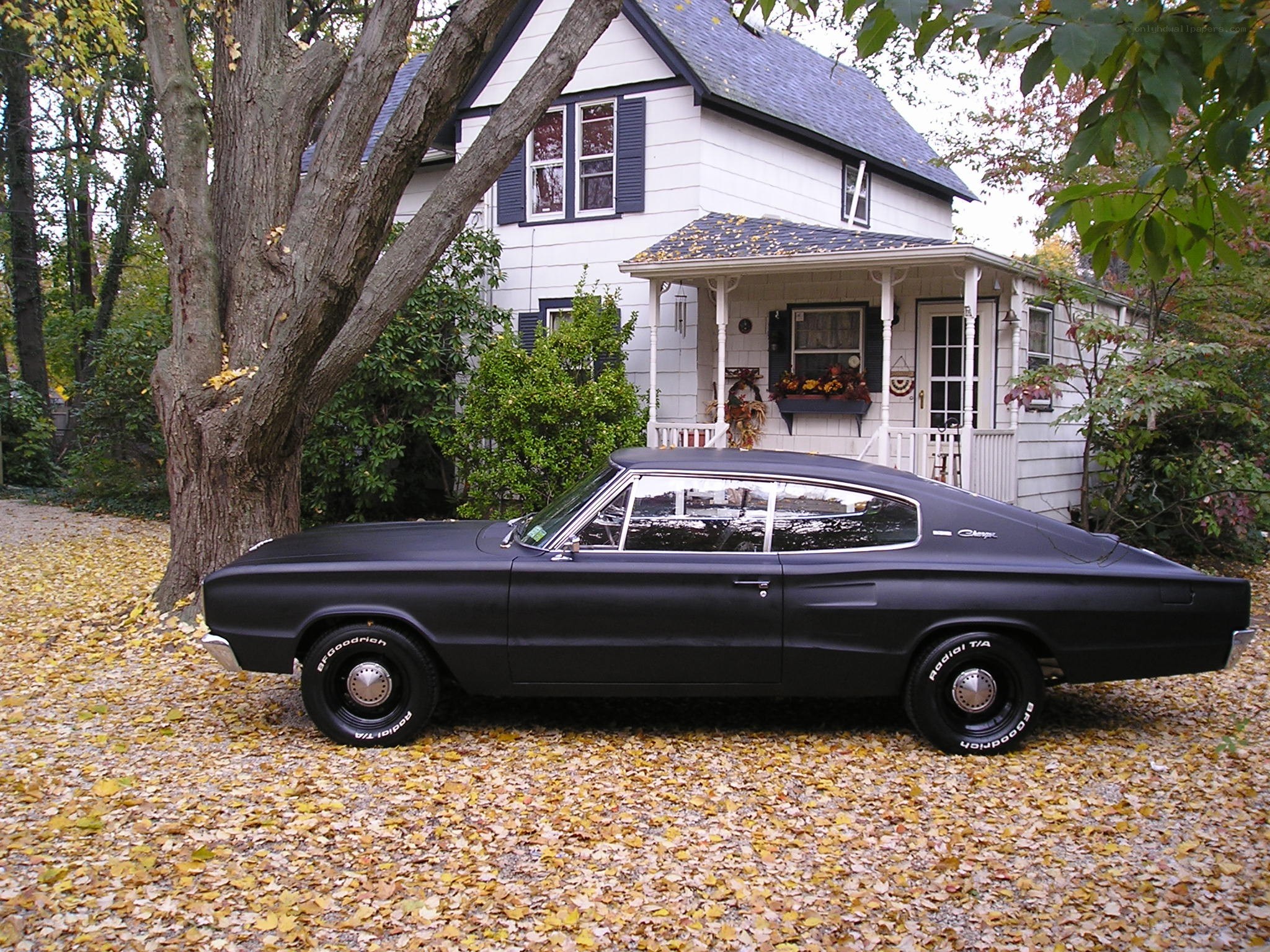 Black classic car in autumn