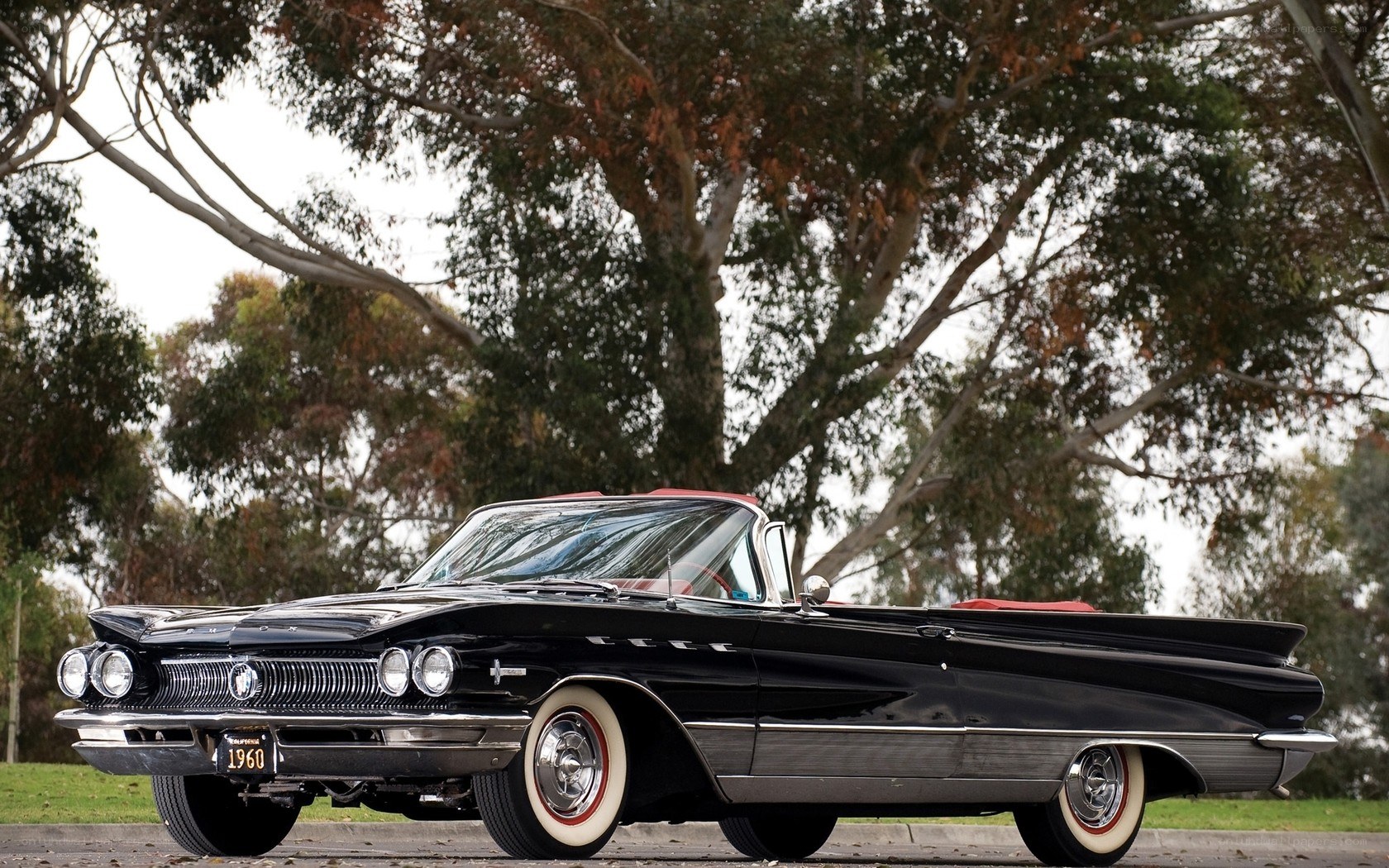Black classic convertible car