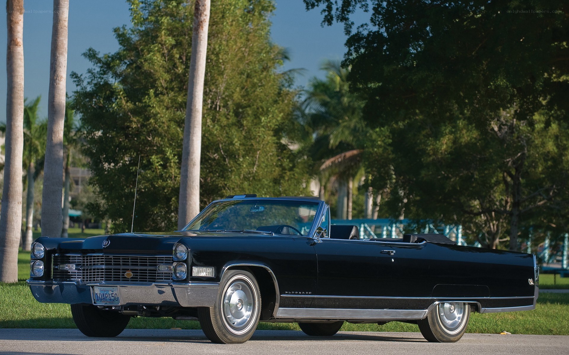 Black classic convertible car