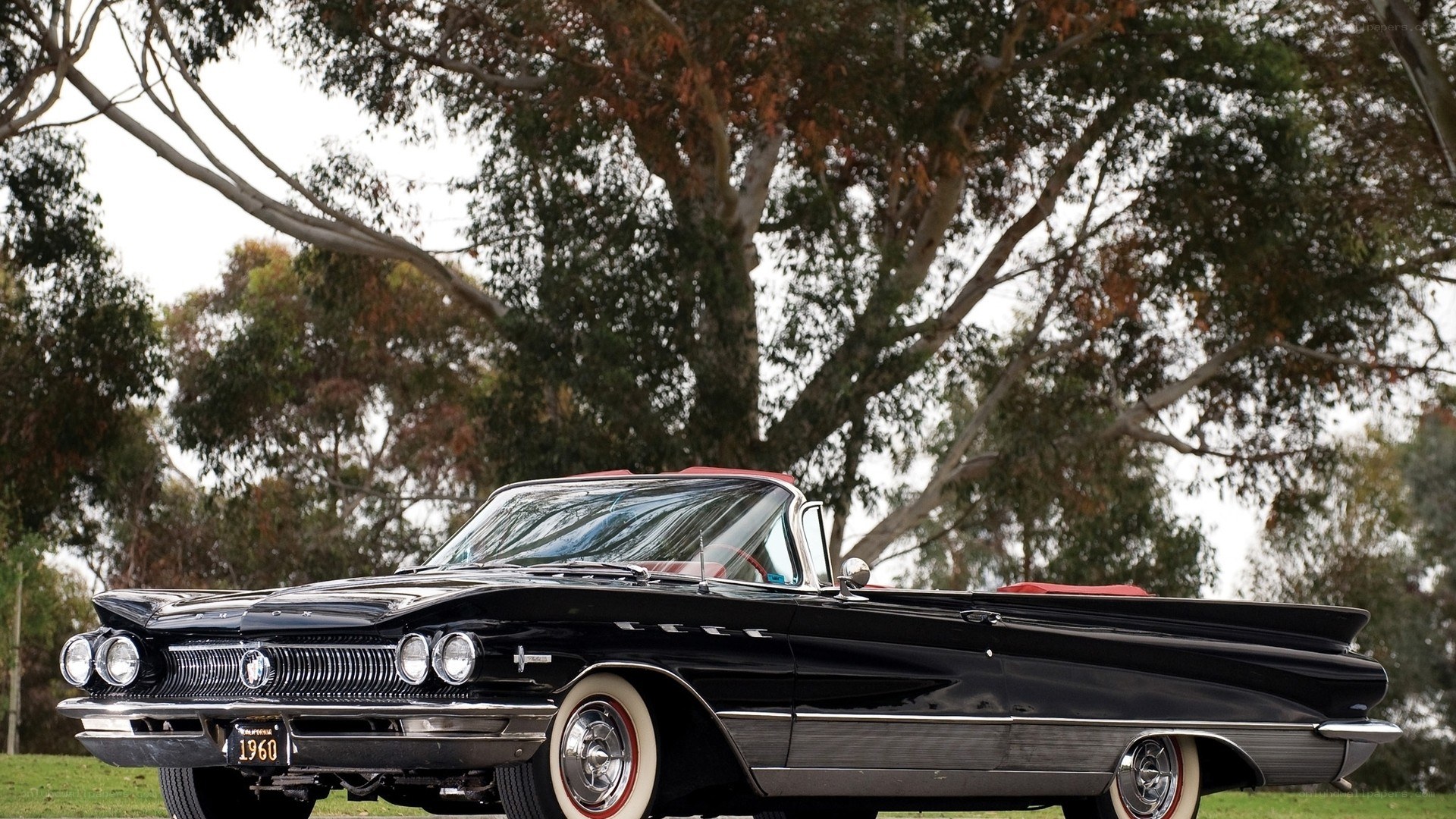 Black classic convertible car