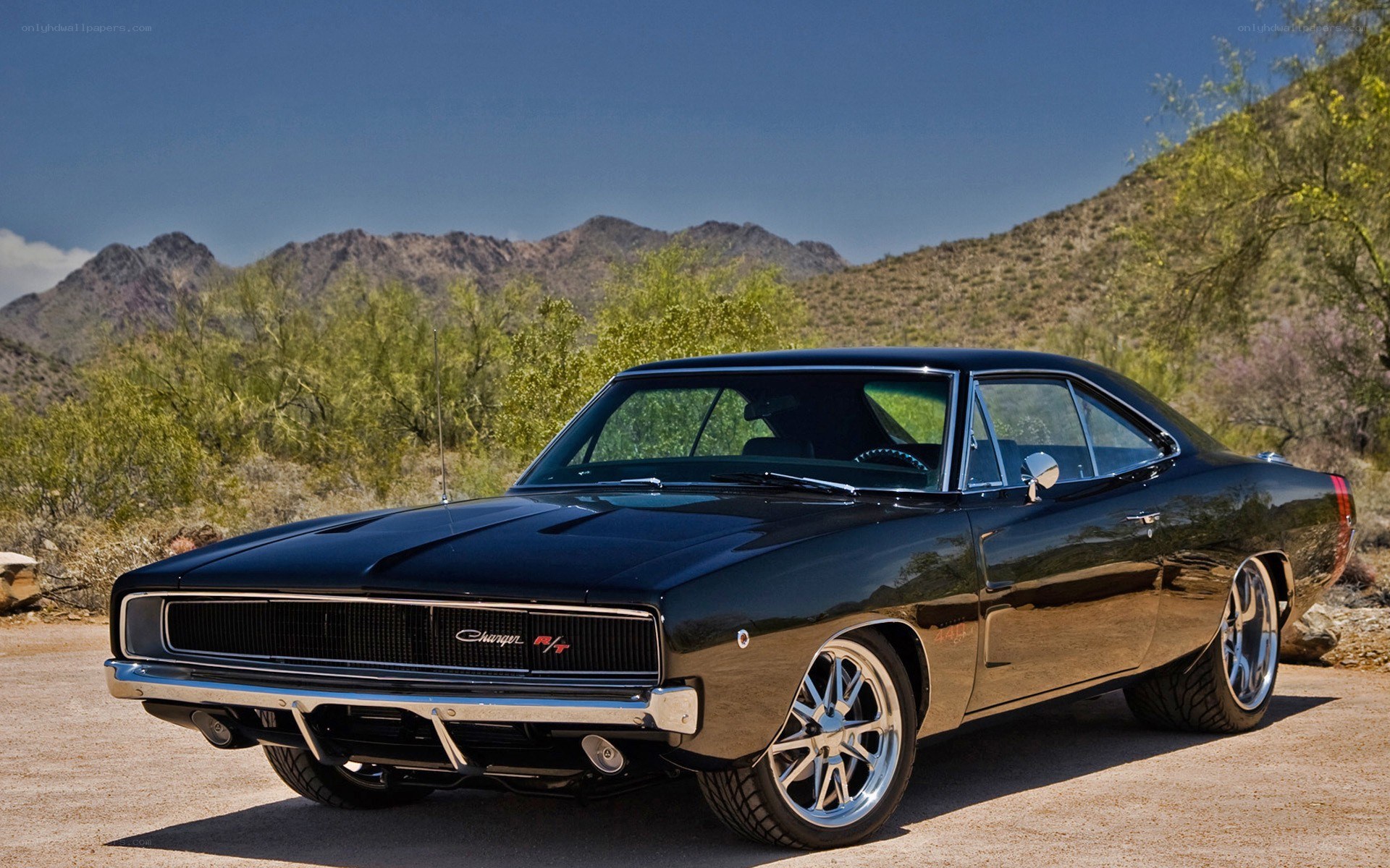 Black classic muscle car