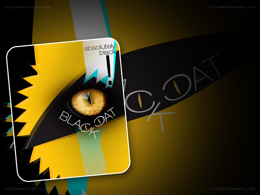 Black Coat album cover