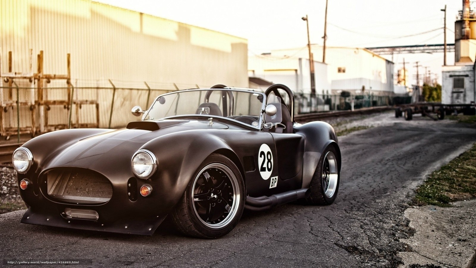 Black Cobra race car