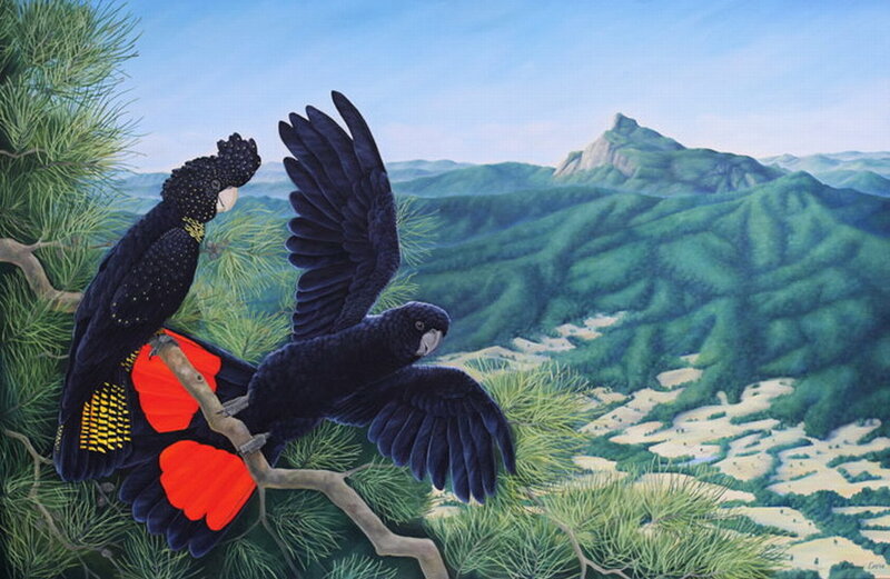 Black Cockatoos on Branch
