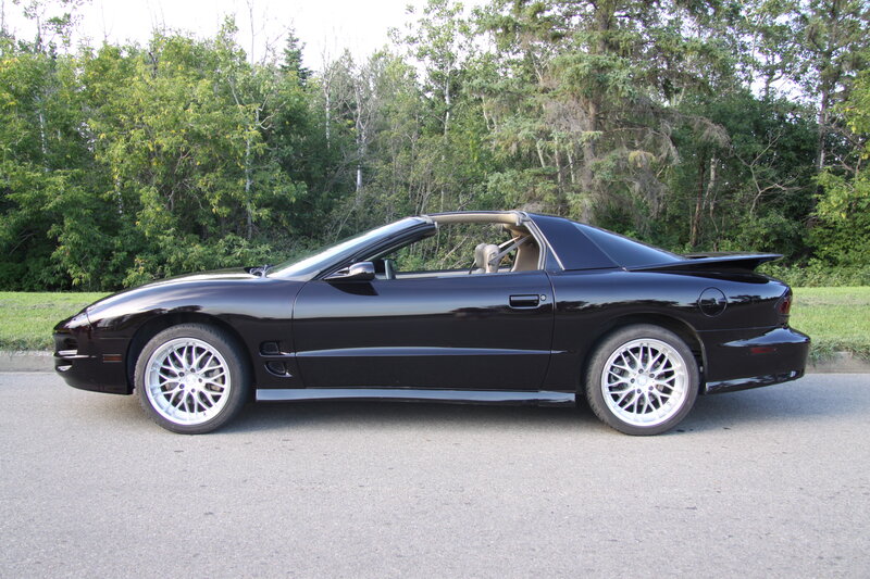 Black Convertible Car — Calm, Afternoon, Photograph, Trees
