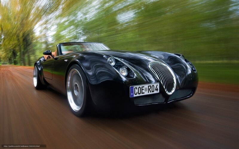 Black Convertible Sports Car — Dynamic, Autumn