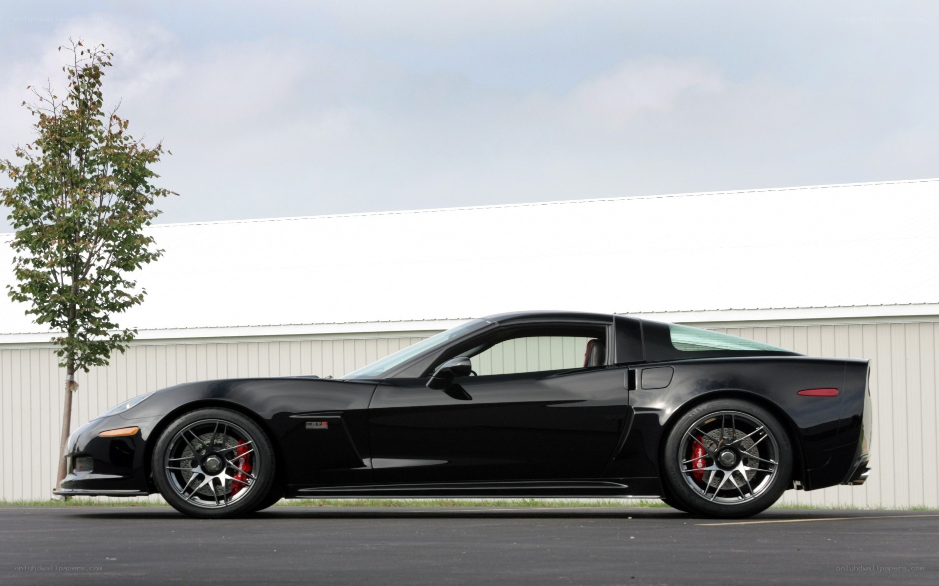 Black Corvette C6 ZR1
