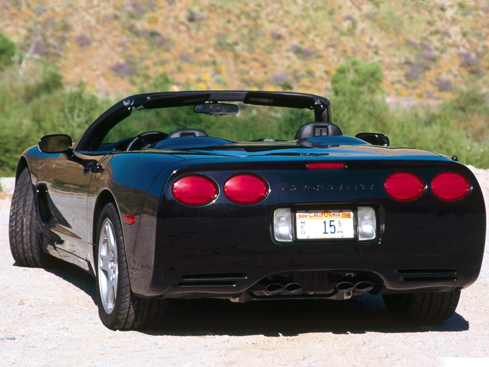 Black Corvette convertible rear view