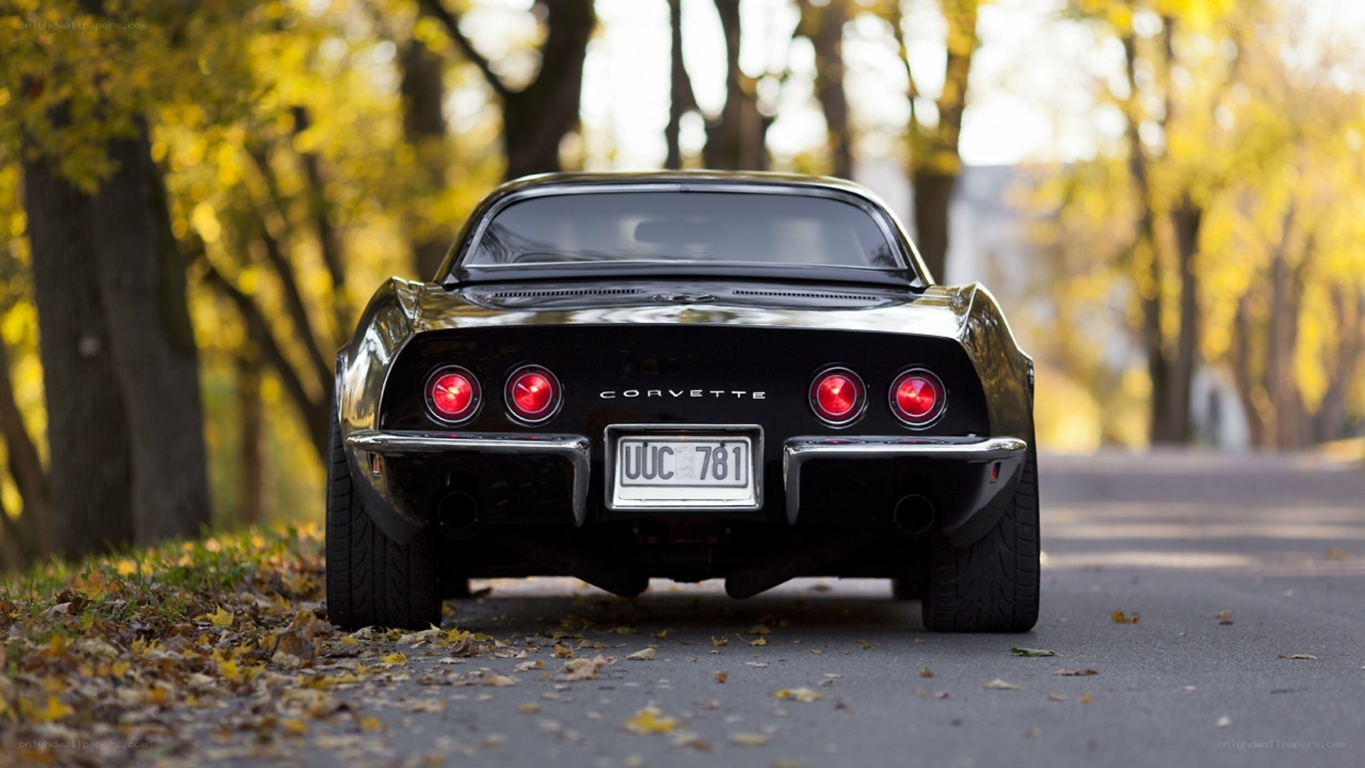 Black Corvette in autumn