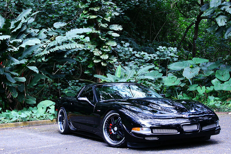 Black Corvette in Forest — Serene