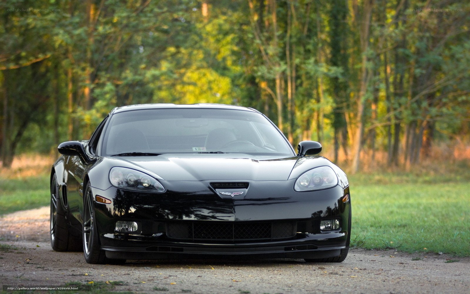 black corvette in forest