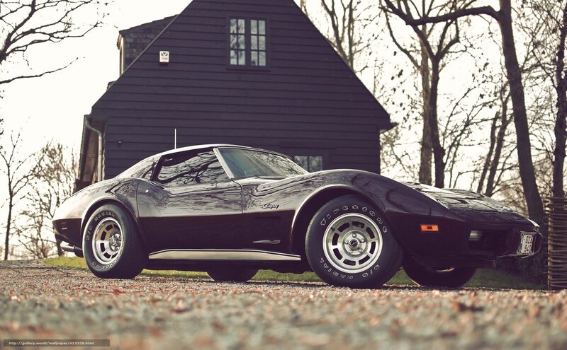 Black Corvette in front of house