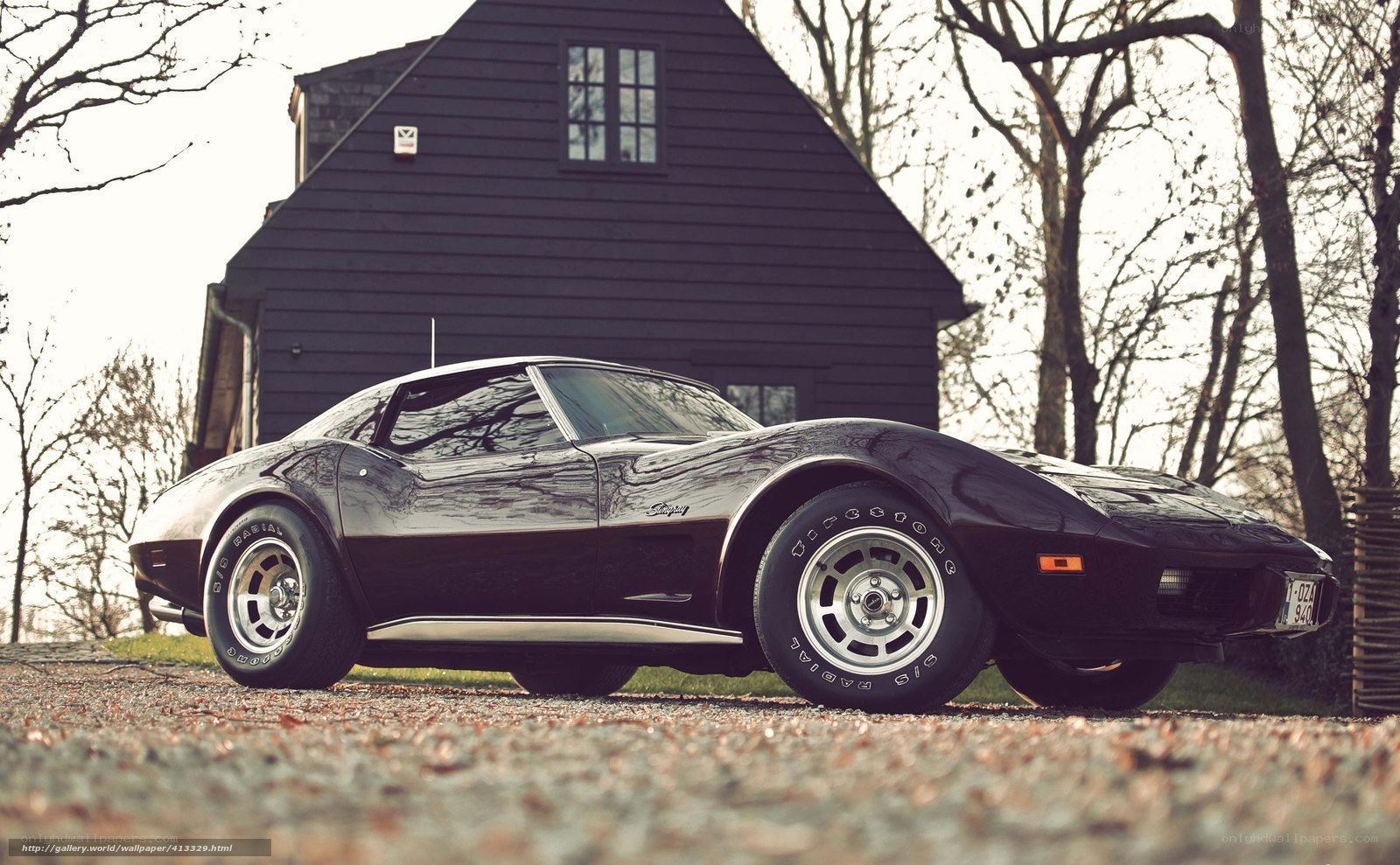Black Corvette in front of house