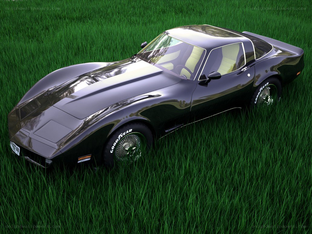 Black Corvette in green grass