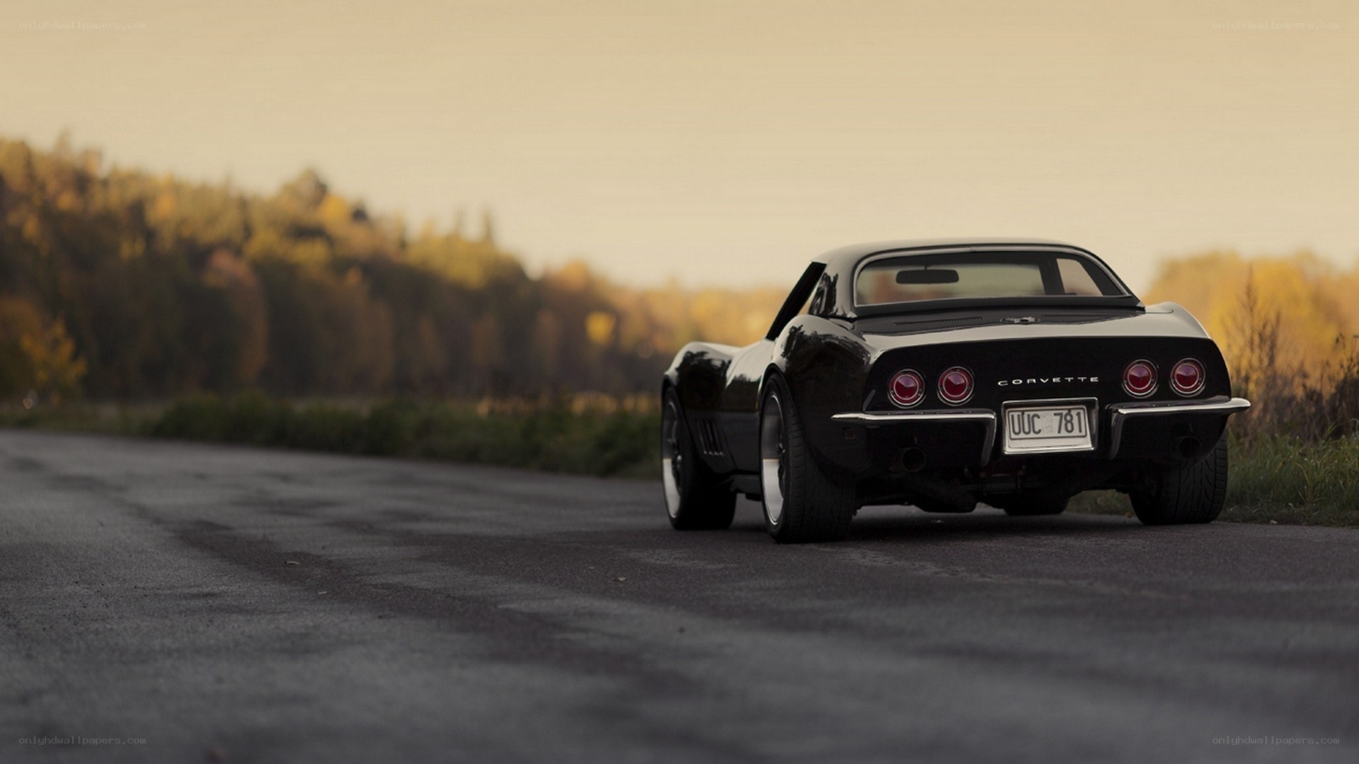 Black Corvette on a country road