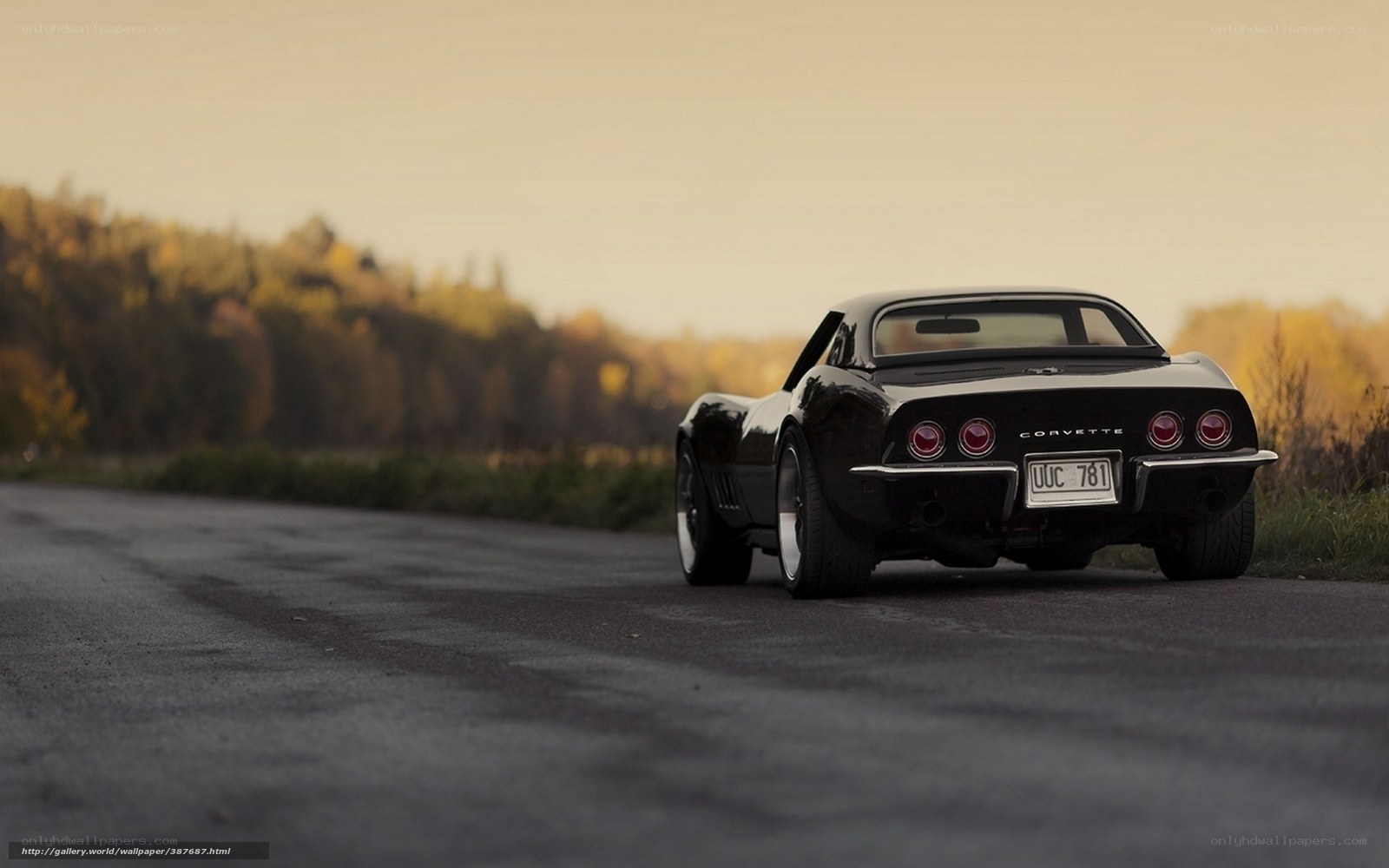 Black Corvette on a country road
