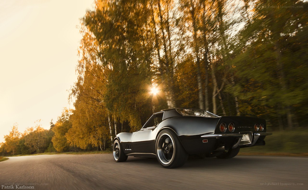 Black Corvette on a forest road