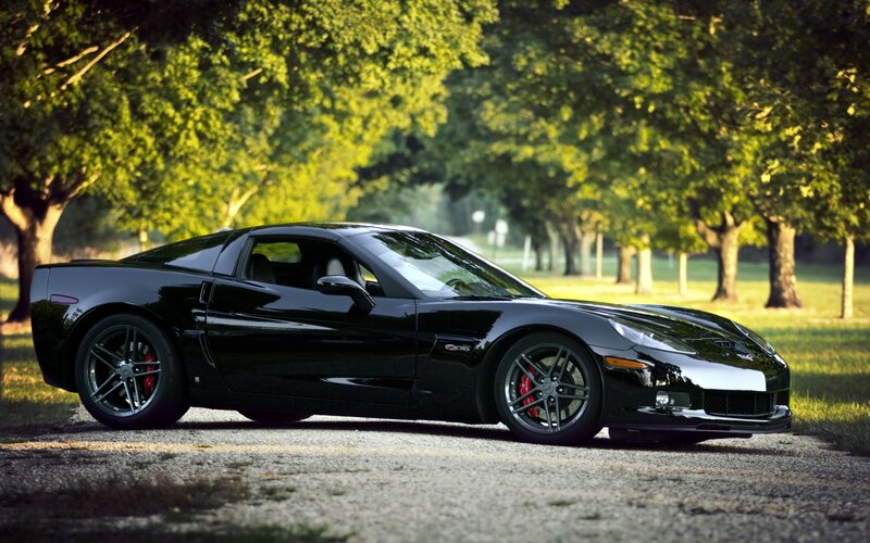 Black Corvette on a tree-lined road