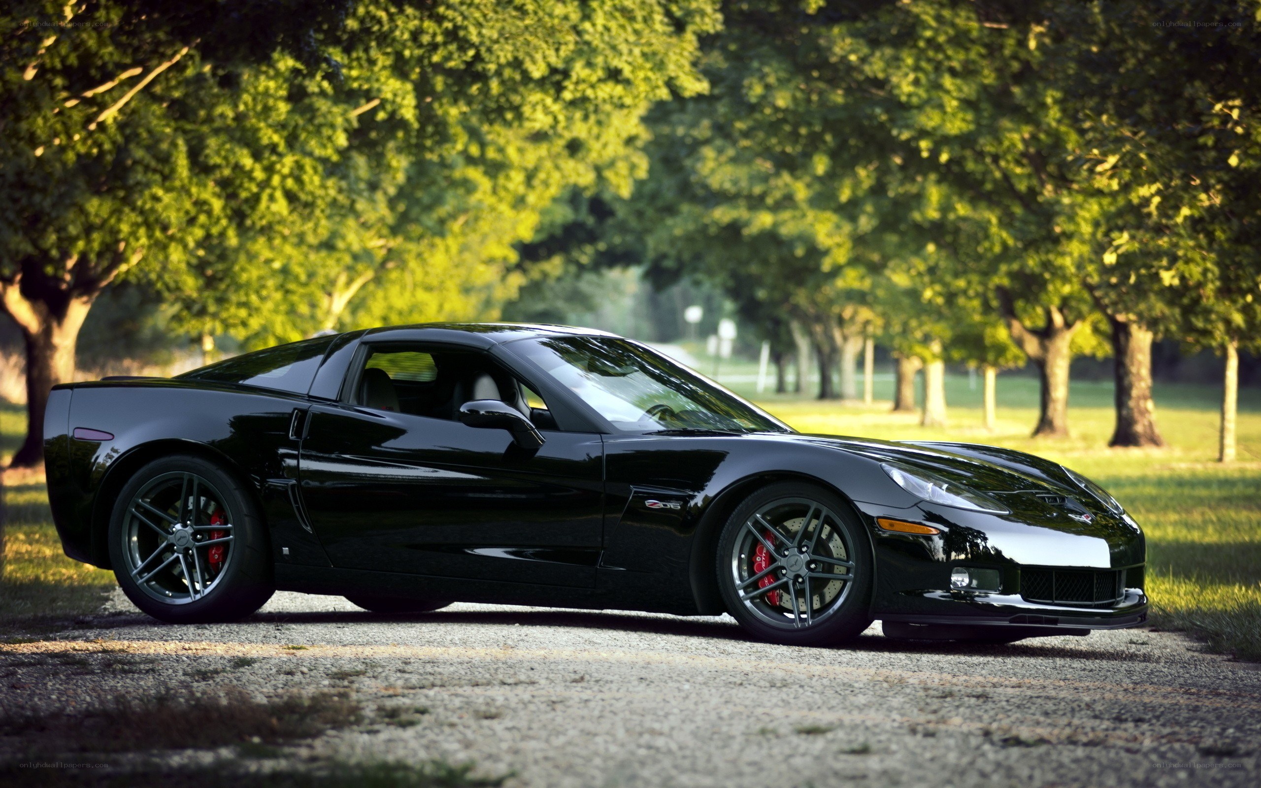 Black Corvette on a tree-lined road