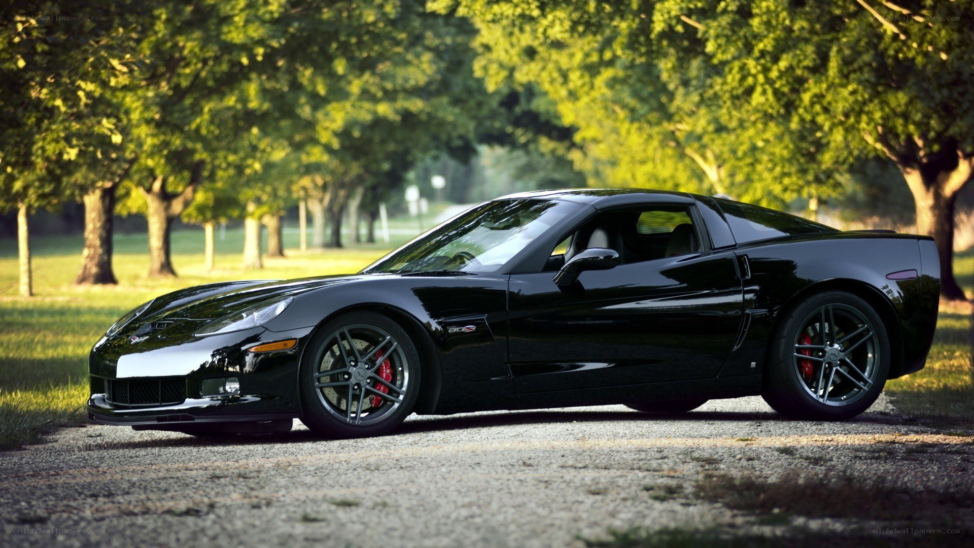 Black Corvette sports car