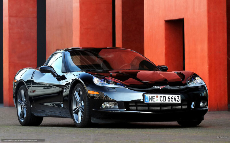 Black Corvette Sports Car — Dramatic, Photograph, Building, License Plate