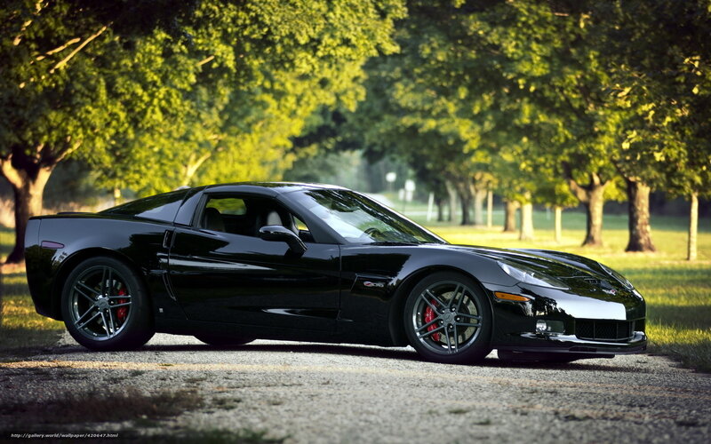 Black Corvette Sports Car — Serene, Afternoon, Photograph