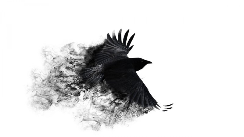 Black Crow in Flight — Dramatic, Digital Art, Smoke, White